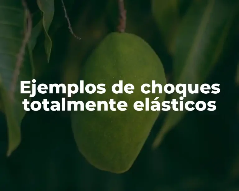 Ejemplos de choques totalmente elásticos