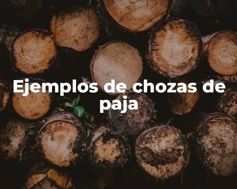 Ejemplos de chozas de paja