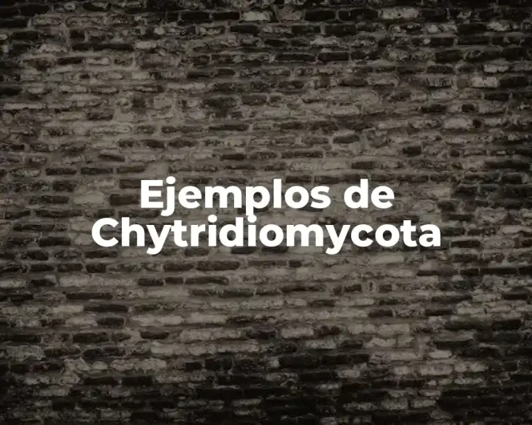 Ejemplos de Chytridiomycota