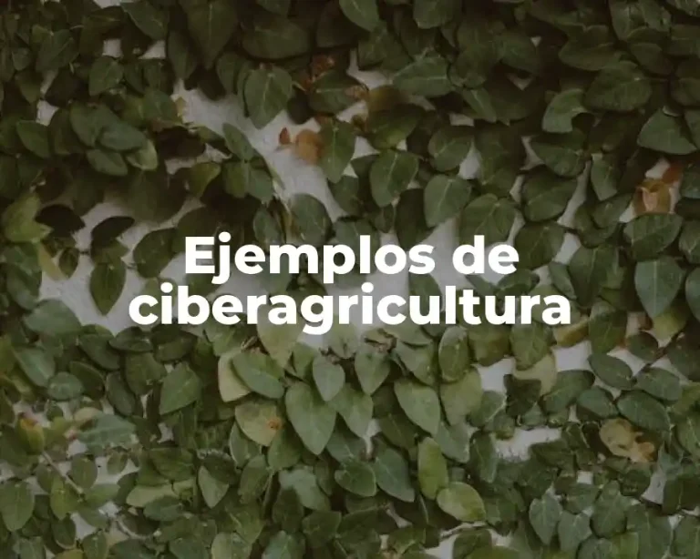Ejemplos de ciberagricultura