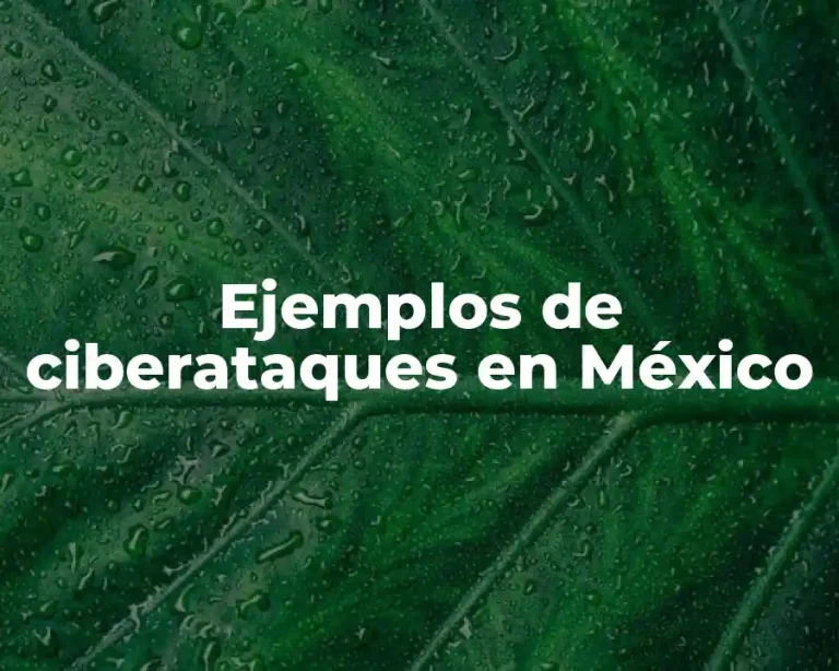 Ejemplos de ciberataques en México