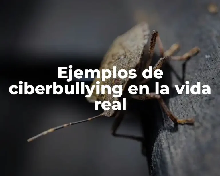 Ejemplos de ciberbullying en la vida real