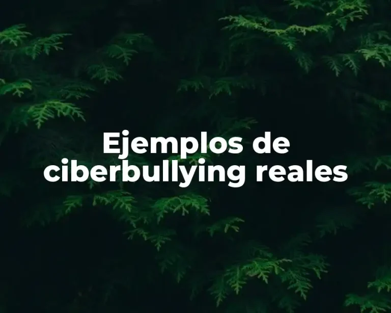Ejemplos de ciberbullying reales