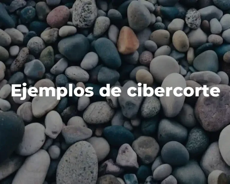 Ejemplos de cibercorte