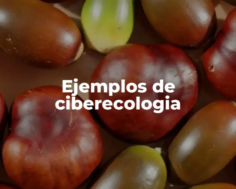 Ejemplos de ciberecologia