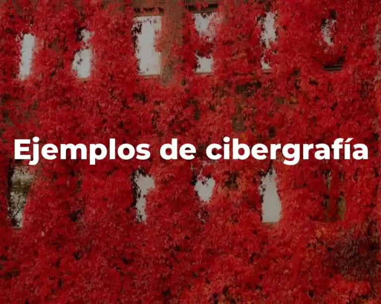Ejemplos de cibergrafía