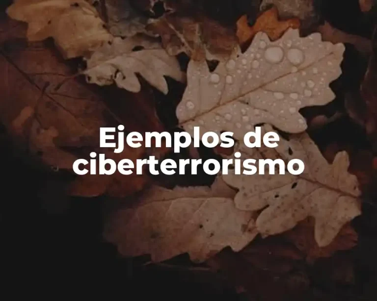 Ejemplos de ciberterrorismo