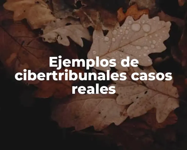 Ejemplos de cibertribunales casos reales