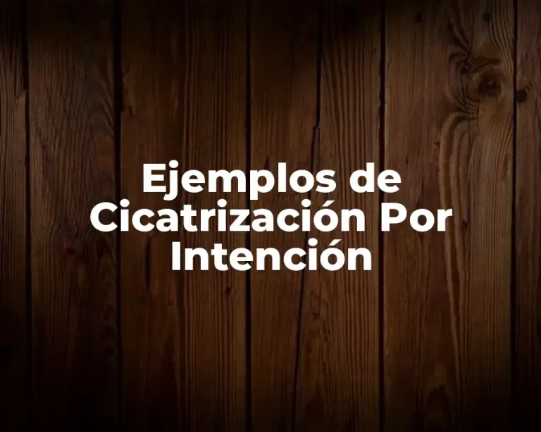Ejemplos de Cicatrización Por Intención