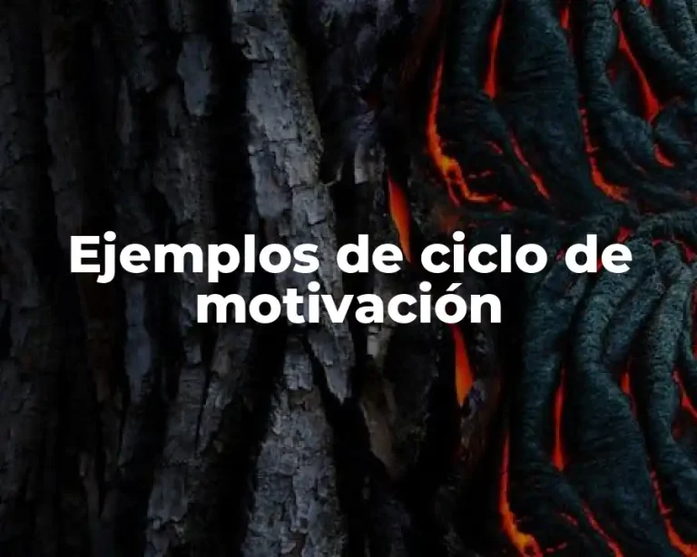Ejemplos de ciclo de motivación