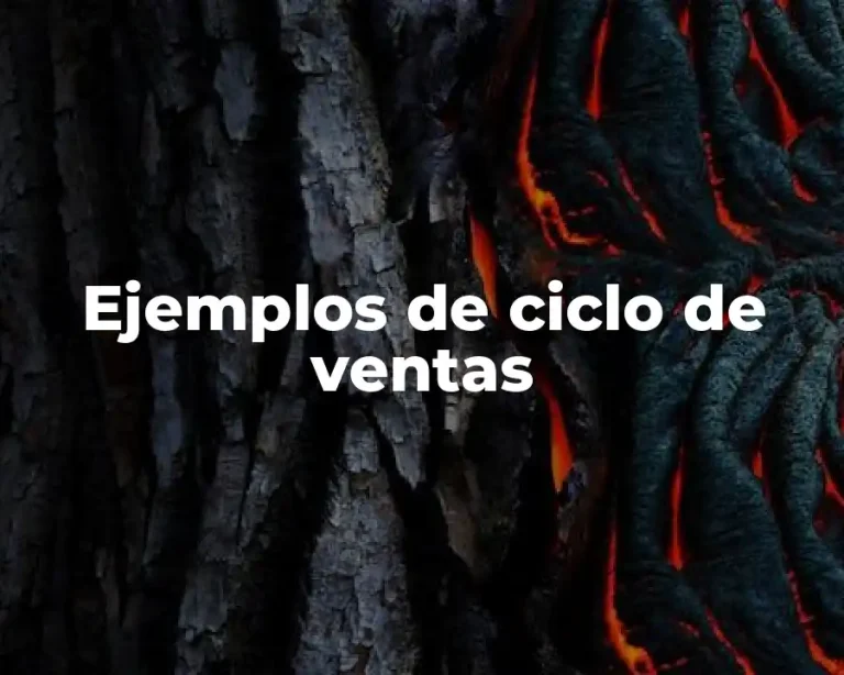 Ejemplos de ciclo de ventas