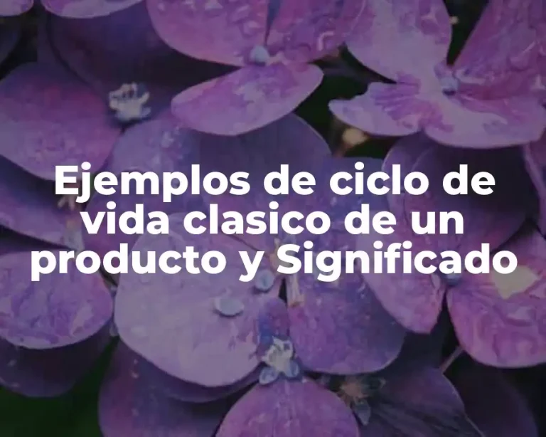 Ejemplos de ciclo de vida clasico de un producto y Significado