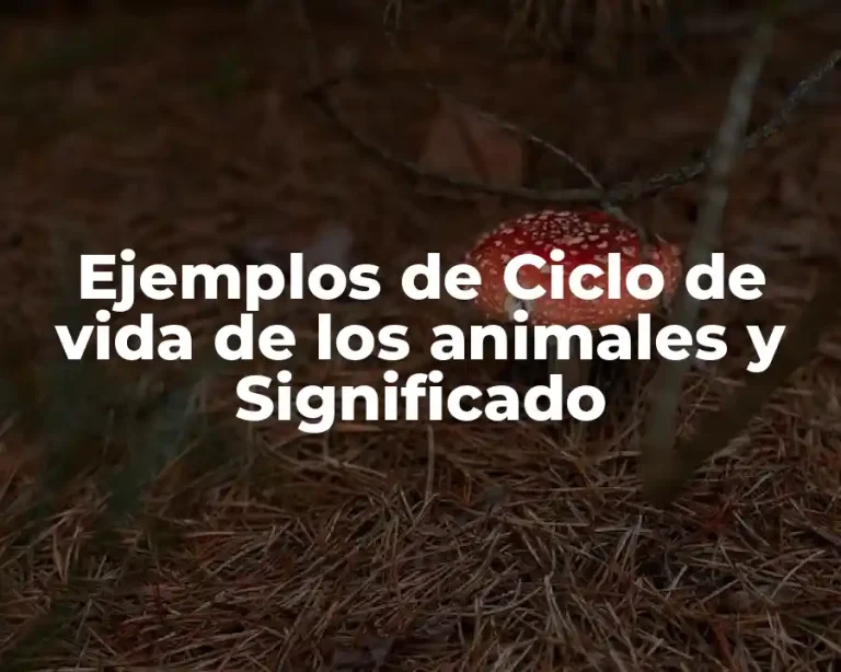 Ejemplos de Ciclo de vida de los animales y Significado