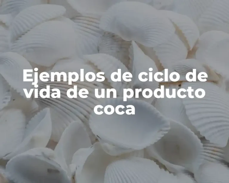 Ejemplos de ciclo de vida de un producto coca