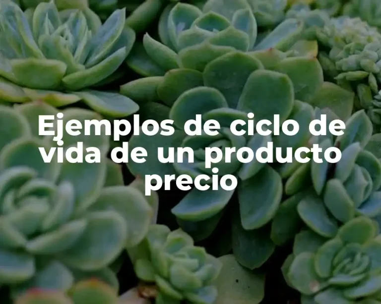 Ejemplos de ciclo de vida de un producto precio