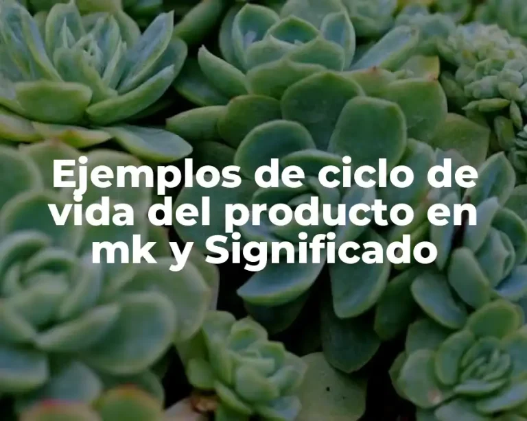 Ejemplos de ciclo de vida del producto en mk y Significado