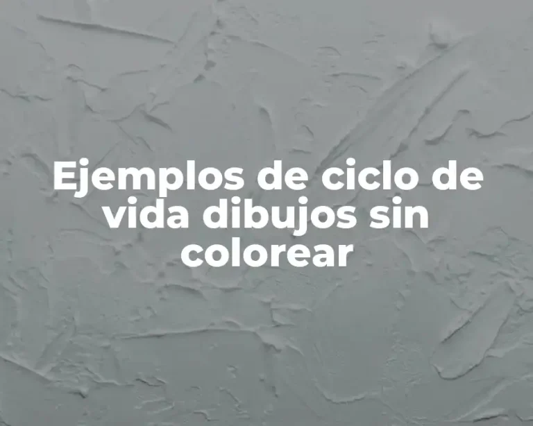 Ejemplos de ciclo de vida dibujos sin colorear