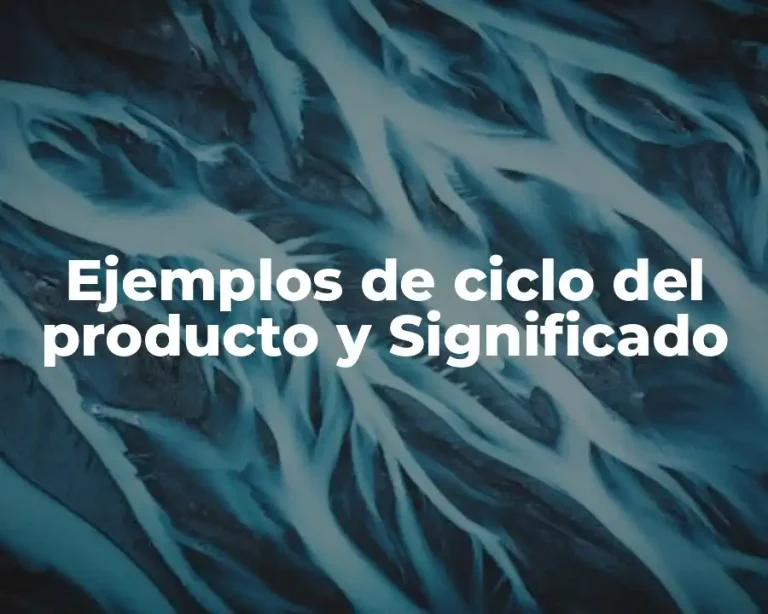 Ejemplos de ciclo del producto y Significado