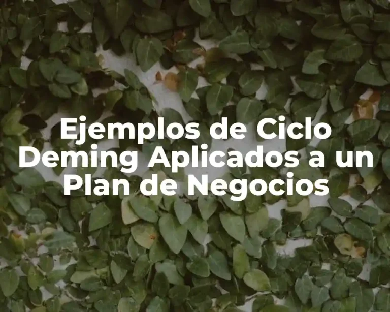 Ejemplos de Ciclo Deming Aplicados a un Plan de Negocios