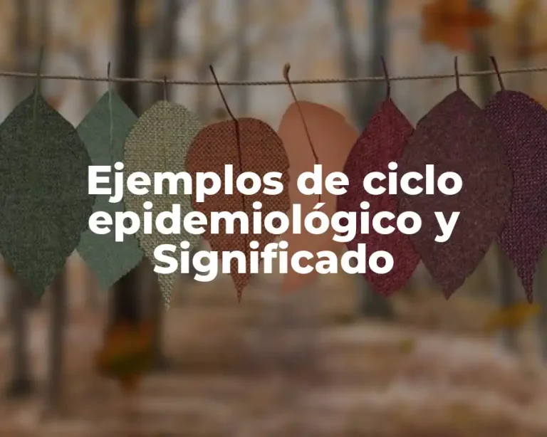 Ejemplos de ciclo epidemiológico y Significado
