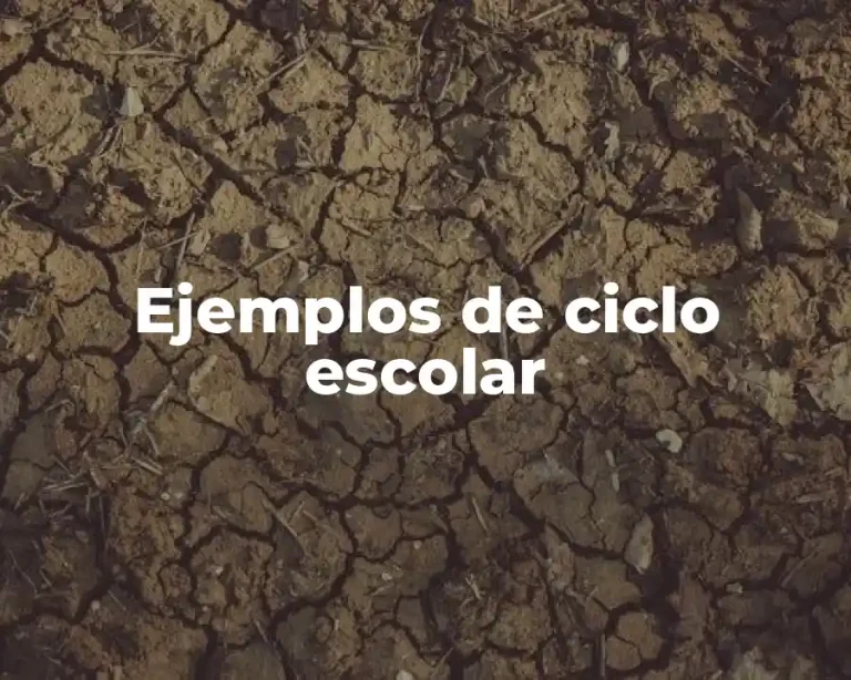 Ejemplos de ciclo escolar