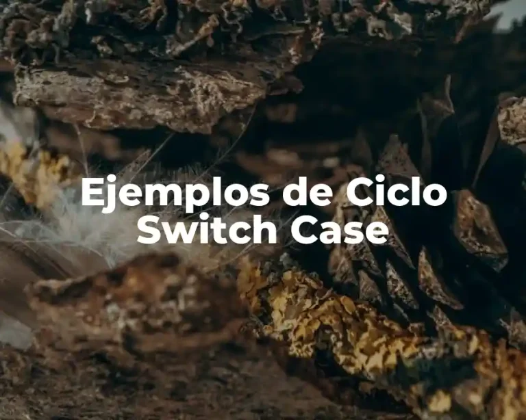 Ejemplos de Ciclo Switch Case