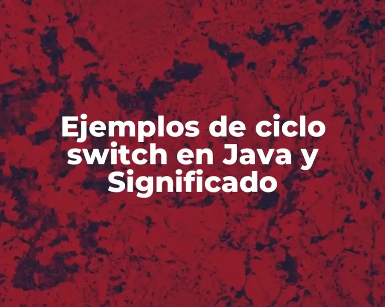 Ejemplos de ciclo switch en Java y Significado