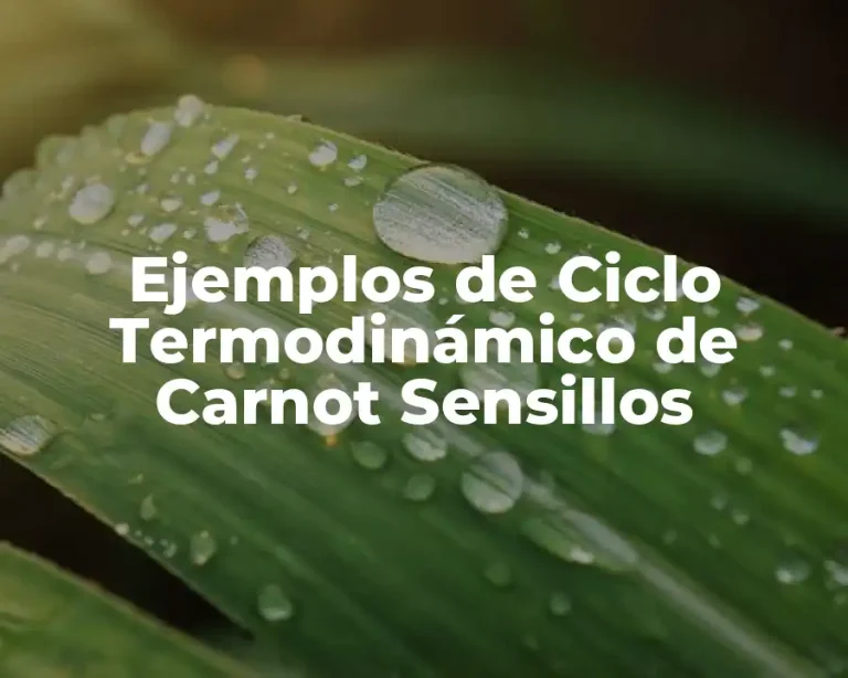 Ejemplos de Ciclo Termodinámico de Carnot Sensillos