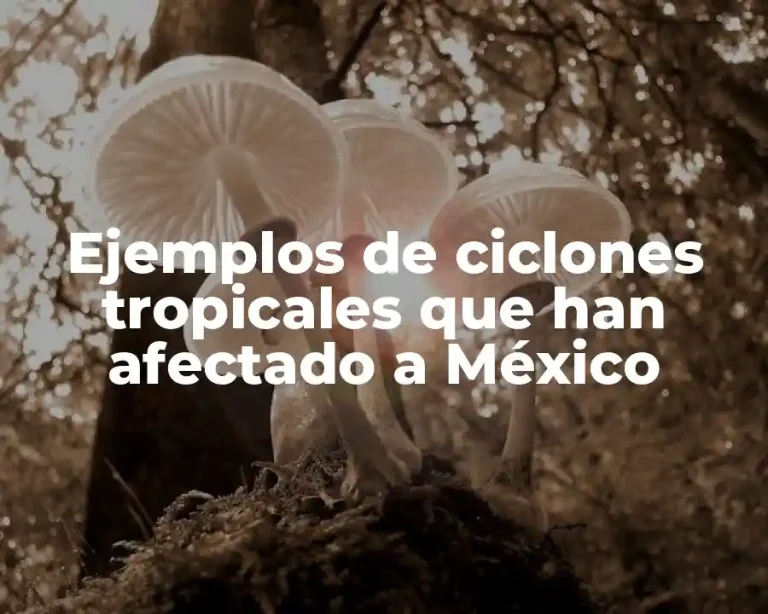 Ejemplos de ciclones tropicales que han afectado a México