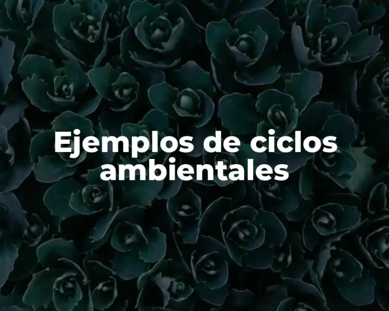 Ejemplos de ciclos ambientales