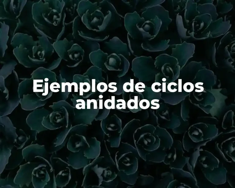 Ejemplos de ciclos anidados