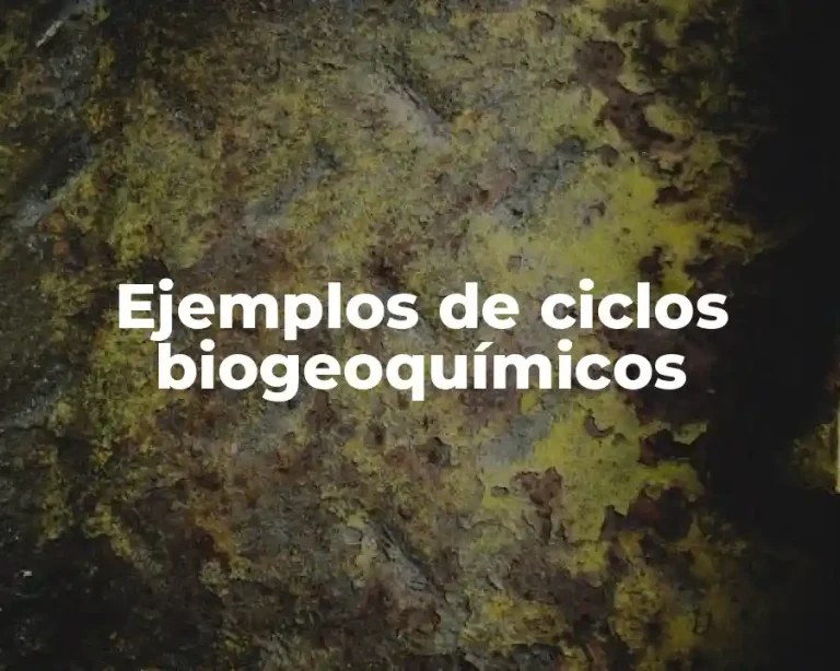 Ejemplos de ciclos biogeoquímicos