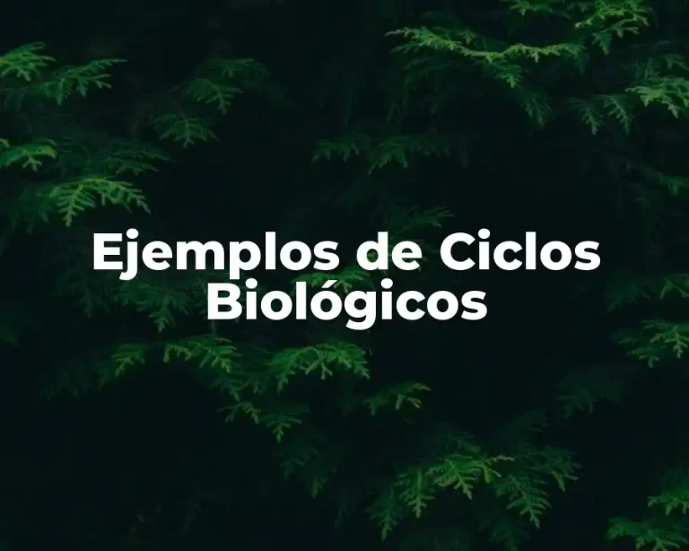 Ejemplos de Ciclos Biológicos