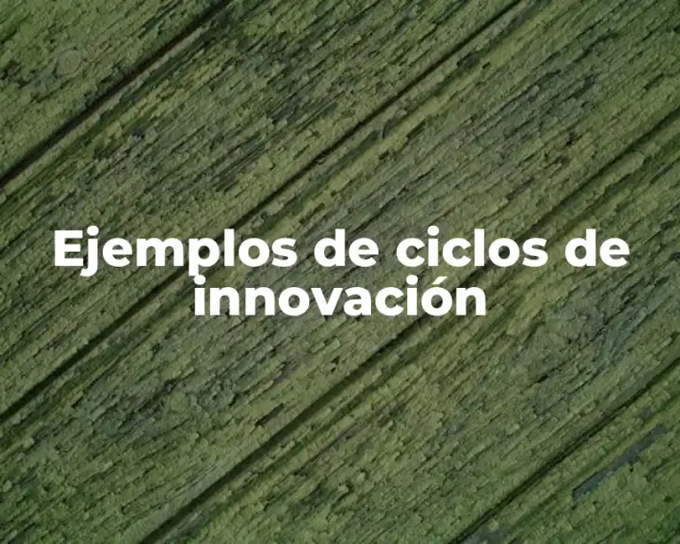 Ejemplos de ciclos de innovación