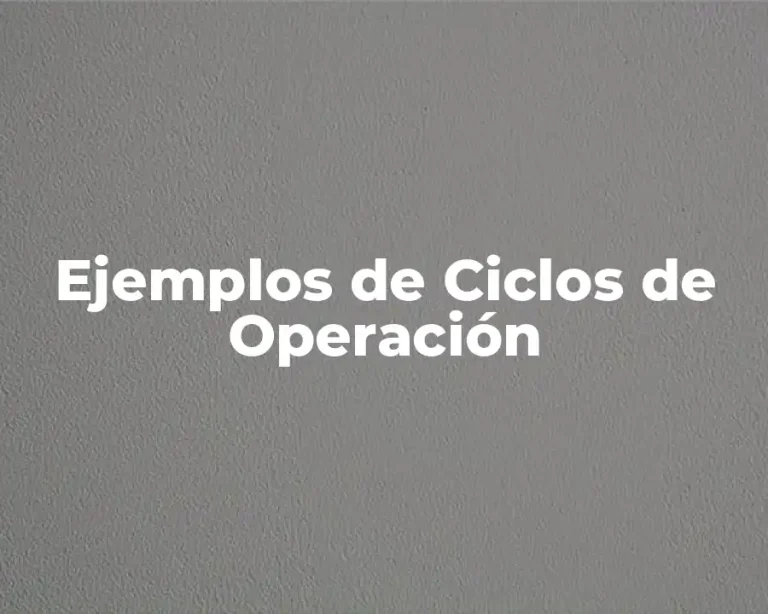 Ejemplos de Ciclos de Operación