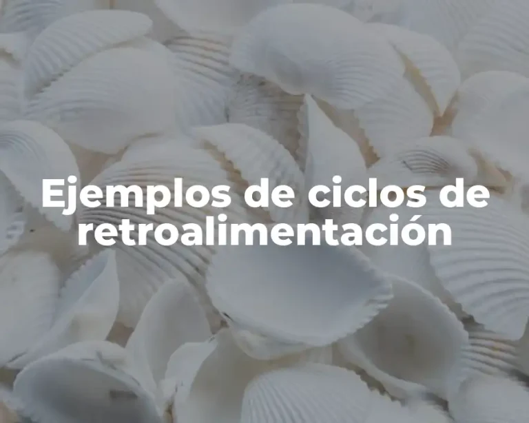 Ejemplos de ciclos de retroalimentación