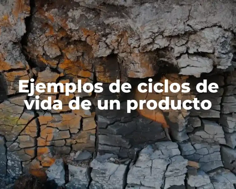 Ejemplos de ciclos de vida de un producto