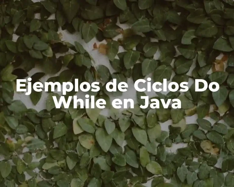 Ejemplos de Ciclos Do While en Java