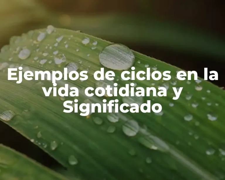 Ejemplos de ciclos en la vida cotidiana y Significado