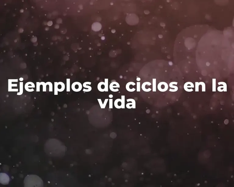 Ejemplos de ciclos en la vida