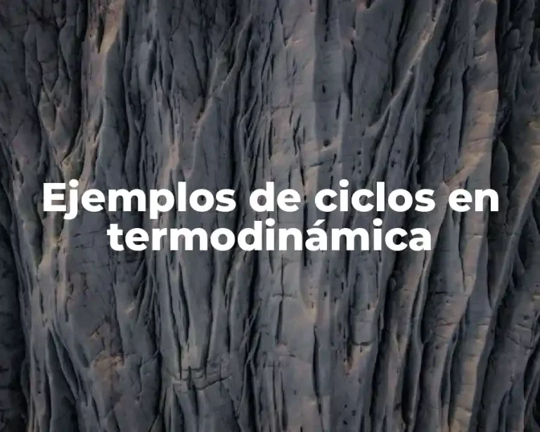Ejemplos de ciclos en termodinámica