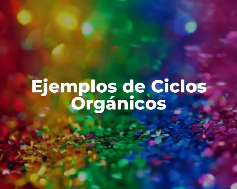 Ejemplos de Ciclos Orgánicos