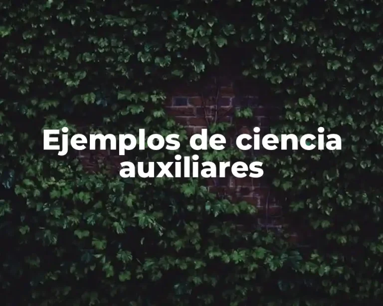 Ejemplos de ciencia auxiliares