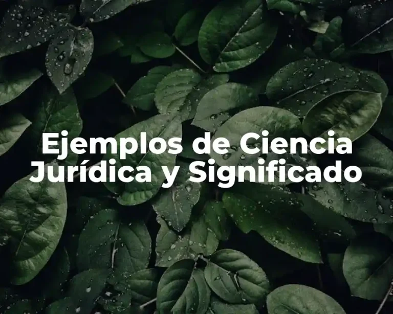 Ejemplos de Ciencia Jurídica y Significado