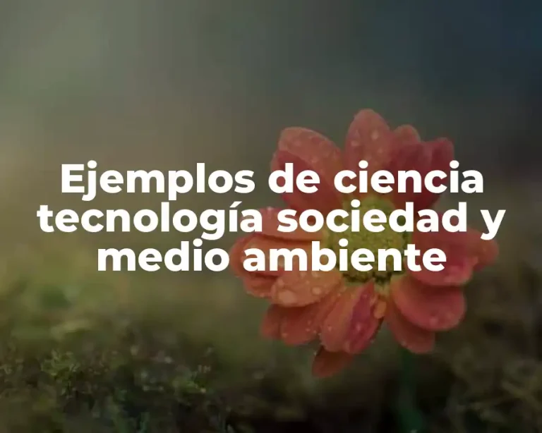 Ejemplos de ciencia tecnología sociedad y medio ambiente