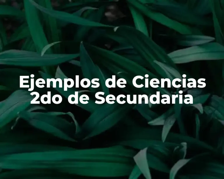 Ejemplos de Ciencias 2do de Secundaria