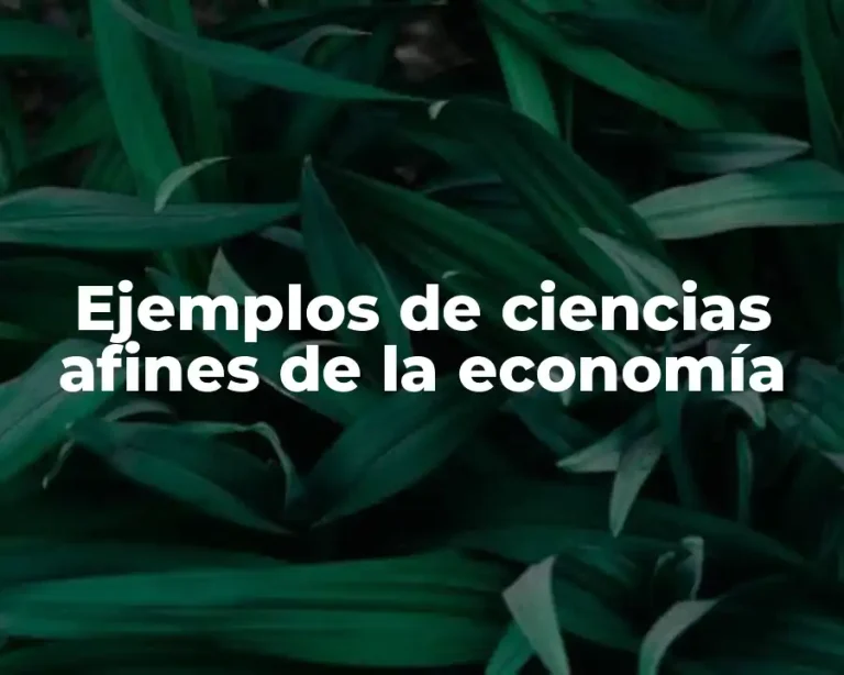 Ejemplos de ciencias afines de la economía