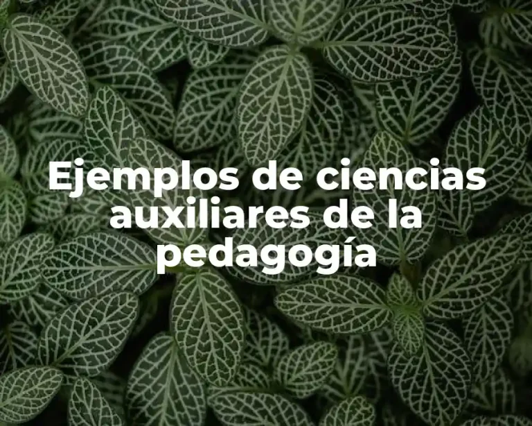 Ejemplos de ciencias auxiliares de la pedagogía