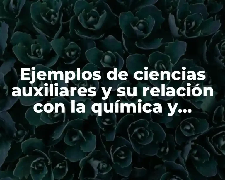 Ejemplos de ciencias auxiliares y su relación con la química y Significado