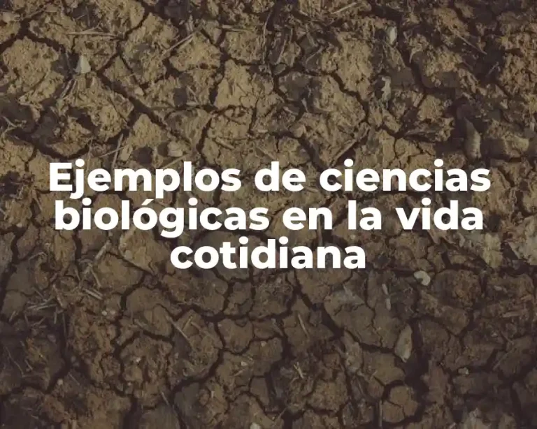 Ejemplos de ciencias biológicas en la vida cotidiana